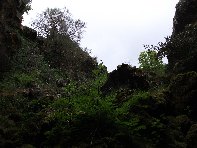 otta Intraleo-20100515 035